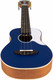 Миниатюра изображения товара Укулеле Flight Iris Concert DB