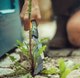 Миниатюра изображения товара Нож садовый Fiskars Xact / 1027045