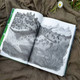 Миниатюра изображения товара Книга Издательство Самокат Последний эльф (де Мари Сильвана)