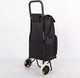 Миниатюра изображения товара Сумка-тележка Grott 336-DF71-BLK (черный)