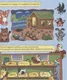 Миниатюра изображения товара Развивающая книга Проф-Пресс Только для девочек с наклейками