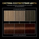 Миниатюра изображения товара Крем-краска для волос Сьёсс Oleo Intense стойкая 4-18 (шоколадный каштановый)