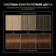 Миниатюра изображения товара Крем-краска для волос Сьёсс Oleo Intense стойкая 5-86 (карамельный каштановый)