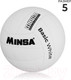 Миниатюра изображения товара Мяч волейбольный Minsa Basic White / 9376727 (размер 5)
