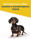 Миниатюра изображения товара Сухой корм для собак Trainer Natural для мелких пород с сыровял. ветчиной, рис и маточн мол. (800г)