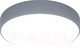 Миниатюра изображения товара Потолочный светильник Евросвет 90319/1 (серый)