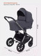 Миниатюра изображения товара Детская универсальная коляска Rant Flex Pro 2 в 1 2023 / RA074 (Graphite)