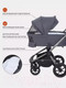 Миниатюра изображения товара Детская универсальная коляска Rant Flex Pro 2 в 1 2023 / RA074 (Graphite)