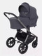 Миниатюра изображения товара Детская универсальная коляска Rant Flex Pro 2 в 1 2023 / RA074 (Graphite)