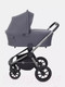 Миниатюра изображения товара Детская универсальная коляска Rant Flex Pro 2 в 1 2023 / RA074 (Graphite)