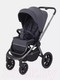 Миниатюра изображения товара Детская универсальная коляска Rant Flex Pro 2 в 1 2023 / RA074 (Graphite)