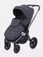 Миниатюра изображения товара Детская универсальная коляска Rant Flex Pro 2 в 1 2023 / RA074 (Graphite)