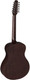 Миниатюра изображения товара Акустическая гитара Baton Rouge X11LS/F-AB-12