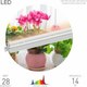 Миниатюра изображения товара Светильник для растений SmartBuy SBL-Fito-14W