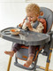 Миниатюра изображения товара Стульчик для кормления Amarobaby Elegant / AB23-23EL/11 (серый)