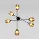 Миниатюра изображения товара Потолочный светильник Евросвет 70148/6 (черный/золото)
