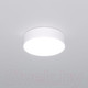 Миниатюра изображения товара Потолочный светильник Евросвет 90318/1 (белый)