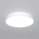 Миниатюра изображения товара Потолочный светильник Евросвет 90320/1 (белый)