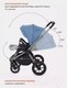Миниатюра изображения товара Детская универсальная коляска Rant Flex Pro 2 в 1 2023 / RA074 (синий)