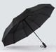 Миниатюра изображения товара Зонт складной Rain Berry 734-6310N (черный)