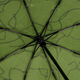 Миниатюра изображения товара Зонт складной Rain Berry 734-23332