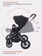 Миниатюра изображения товара Детская универсальная коляска Rant Flex Pro 2 в 1 2023 / RA074 (черный)