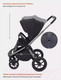 Миниатюра изображения товара Детская универсальная коляска Rant Flex Pro 2 в 1 2023 / RA074 (черный)