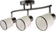 Миниатюра изображения товара Потолочный светильник Mirastyle BL-14854/3 BK+CR