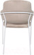 Миниатюра изображения товара Стул Алвест AV 448 (серо-бежевый бархат H-08/белый)