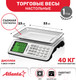 Миниатюра изображения товара Весы торговые Atlanta ATH-6115 (белый)