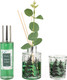 Миниатюра изображения товара Ароматический набор Вещицы Fresh Lemon & Eucalyptus ARD-24