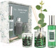 Миниатюра изображения товара Ароматический набор Вещицы Fresh Lemon & Eucalyptus ARD-24
