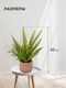 Миниатюра изображения товара Искусственное растение Вещицы Папоротник Mia12