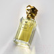 Миниатюра изображения товара Парфюмерная вода Sisley Paris Eau Du Soir For Her (50мл)