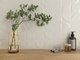 Миниатюра изображения товара Плитка Gracia Ceramica Blanc White Wall 02 (300x500)