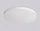 Миниатюра изображения товара Потолочный светильник Ambrella FZ1200 (белый)