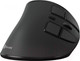 Миниатюра изображения товара Мышь Оклик 990MW (черный)