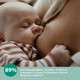 Миниатюра изображения товара Бутылочка для кормления Philips AVENT Natural Response / SCY933/01 (240мл)