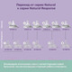 Миниатюра изображения товара Бутылочка для кормления Philips AVENT Natural Response / SCY933/01 (240мл)