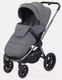Миниатюра изображения товара Детская универсальная коляска Rant Flex Pro 2 в 1 2023 / RA074 (серый)
