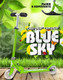 Миниатюра изображения товара Самокат-снегокат Playshion Bluesky-SNW / WS-SX003G (зеленый)
