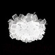 Миниатюра изображения товара Люстра Loftit Clizia 10231/530C White