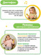 Миниатюра изображения товара Развивающая игрушка BertToys Собачка Буля / 4630017947355 (желтый)