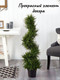 Миниатюра изображения товара Искусственное растение Merry Bear Home Decor Туя спиралевидная / KA0035