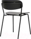Миниатюра изображения товара Стул Bergenson Bjorn Torfrid / BB0000100 (черный)