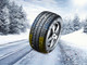 Миниатюра изображения товара Зимняя легкогрузовая шина Evergreen EW616 215/70R15C 113/111S