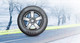 Миниатюра изображения товара Зимняя легкогрузовая шина Evergreen EW616 215/70R15C 113/111S