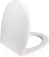 Миниатюра изображения товара Сиденье для унитаза IDDIS Soft Close 007 007PPSCi31