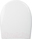 Миниатюра изображения товара Сиденье для унитаза IDDIS Soft Close 007 007PPSCi31