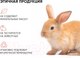 Миниатюра изображения товара Крем для лица Icon Skin Azelaiс Corrective Cream-serum Корректирующая (50мл)